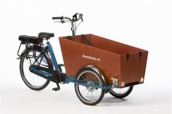 Bakfiets-cargo-trike-classic-narrow-steps-bicicleta-carga-go-by-bike